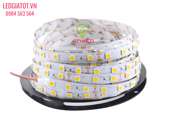 Địa chỉ bán đèn led dây ở quận 10 chất lượng giá tốt