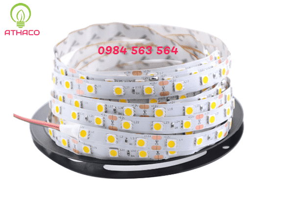 Nhà phân phối đèn led dây 12v 220v chất lượng ở HCM