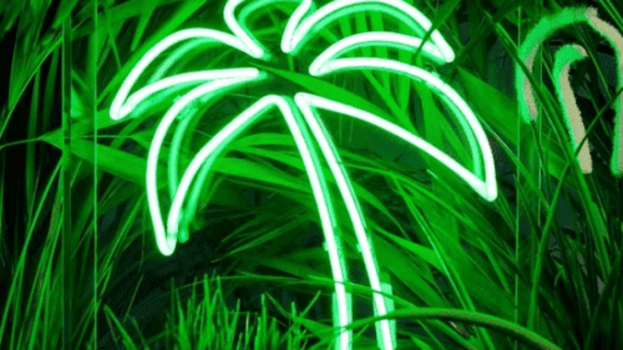 Thi công đèn Neon Sign nghệ thuật ở Quận 12 uy tín giá rẻ