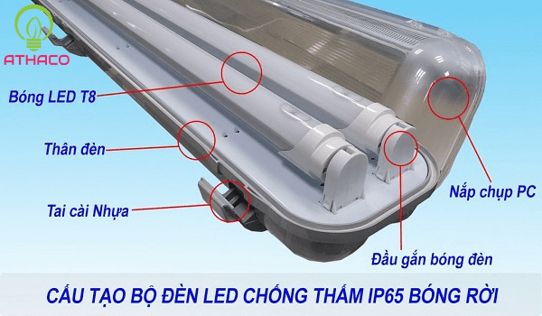 Cấu tạo máng đèn chống thấm nổi bật với 5 chi tiết bạn nên biết