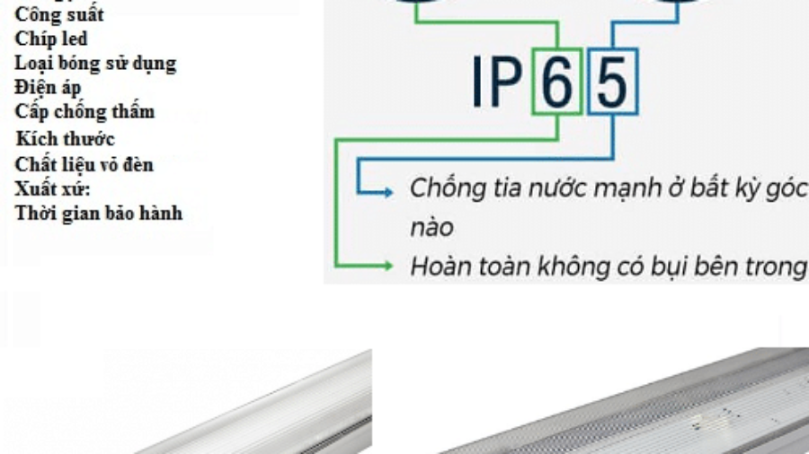 Mách bạn 3 lưu ý nhỏ trước khi mua đèn chống thấm