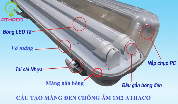 Cấu tạo máng đèn chống ẩm 6 chi tiết quan trọng bạn nên biết