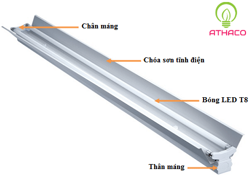 Mách bạn 2 mẫu máng đèn đôi phản quang bán chạy nhất