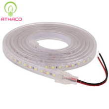 LED dây 12V chống nước 2835 IP65