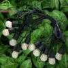 Bóng đèn LED Edison G45 4W