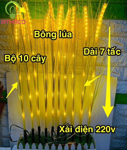 Đèn Led bông lúa chùm 10 bông vàng