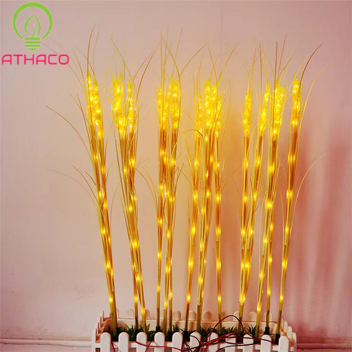 Ứng dụng của đèn LED bông lúa