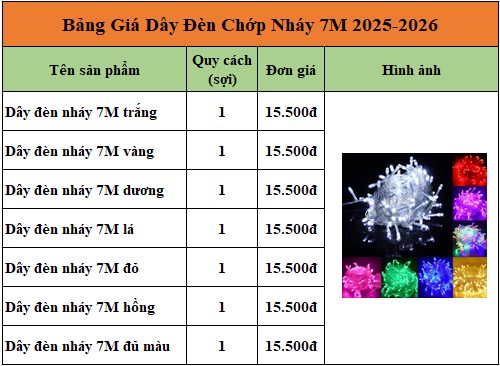 Bảng giá dây đèn chớp nháy trang trí tết 2026