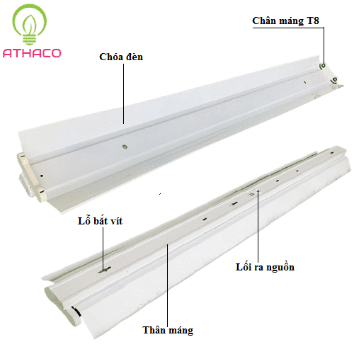 Máng đèn đôi có chóa 0m6 sơn tĩnh điện