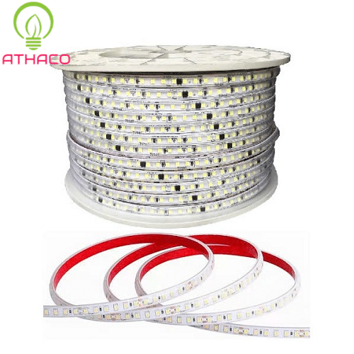 Led dây dán 220v 120L cuộn 100m