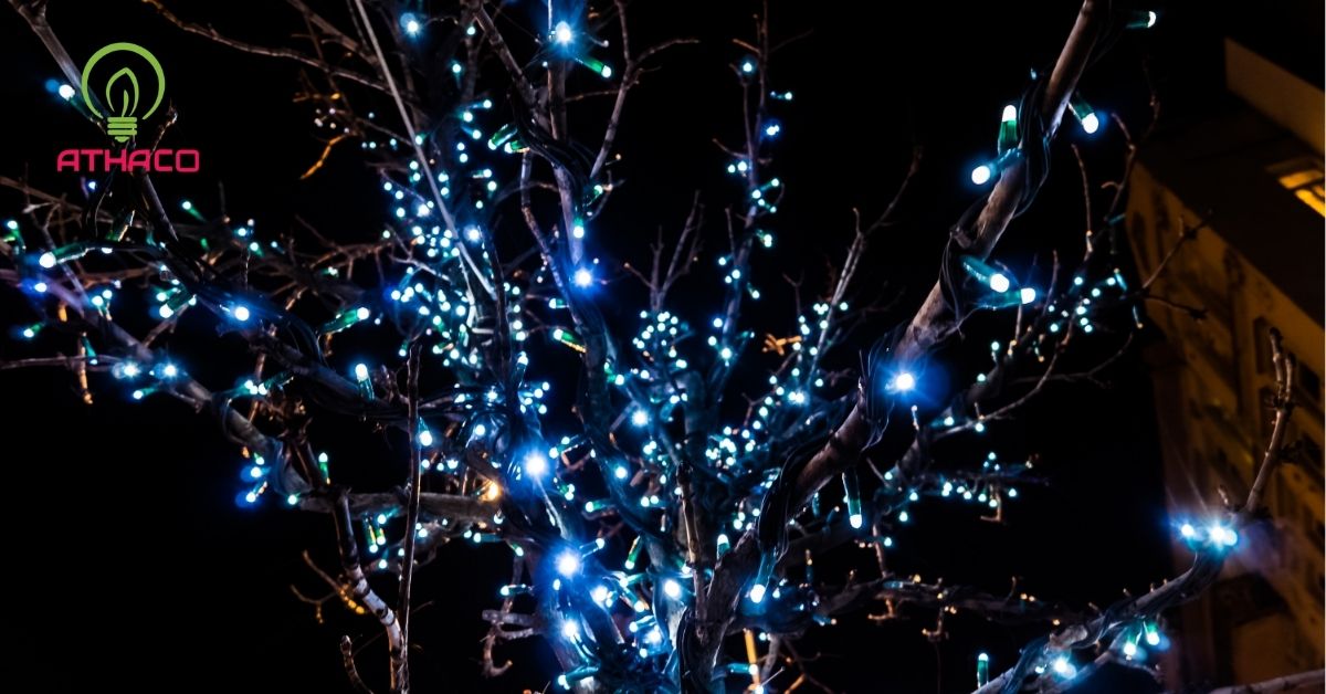 Lợi ích khi trang trí đèn LED cho cây cảnh