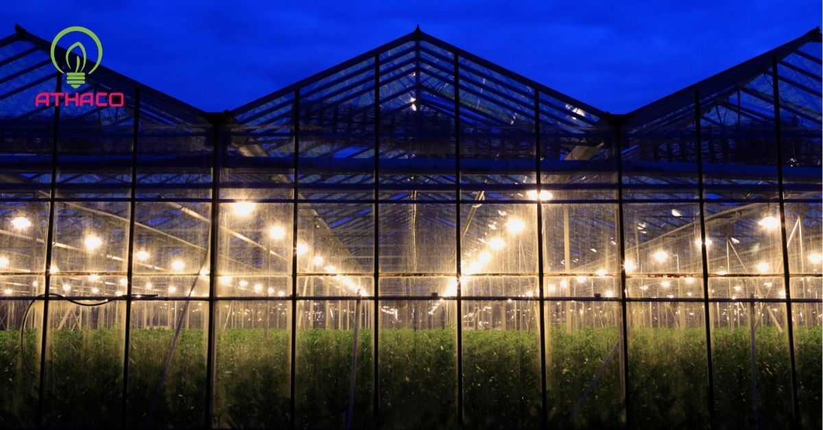 Lợi ích vượt trội khi ứng dụng đèn LED trong nông nghiệp
