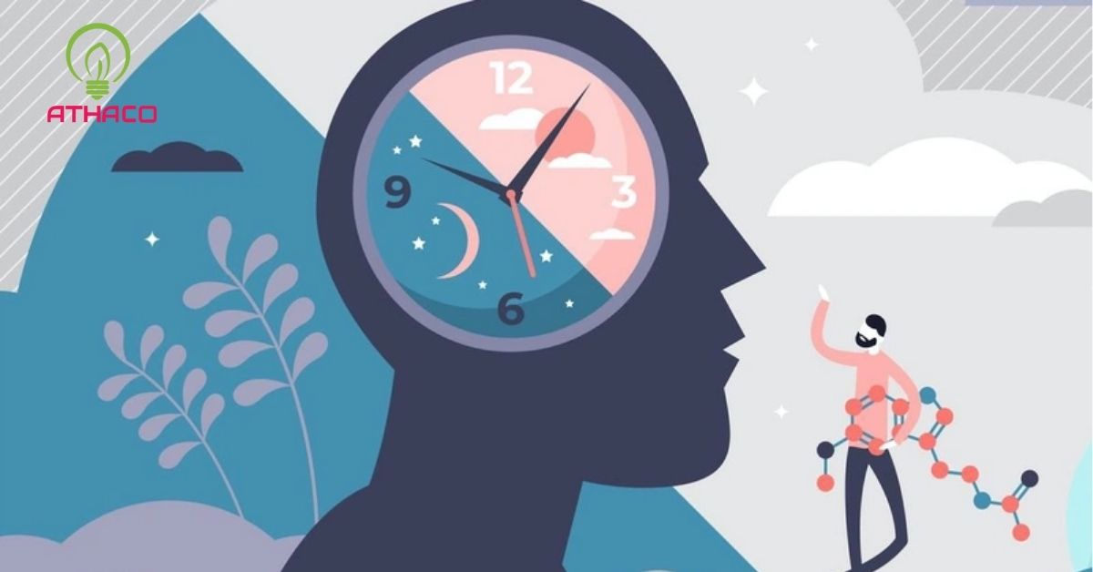 Nhịp sinh học là gì? Tại sao ánh sáng lại ảnh hưởng đến nó?