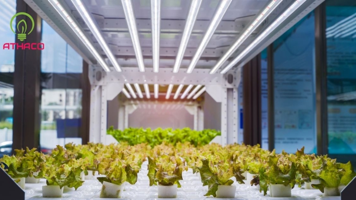Ứng Dụng Đèn LED Trong Nông Nghiệp