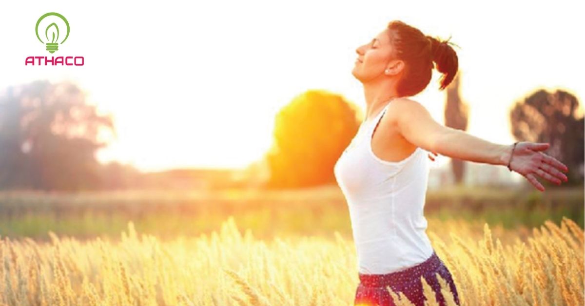 Vai trò của ánh sáng trong đời sống con người