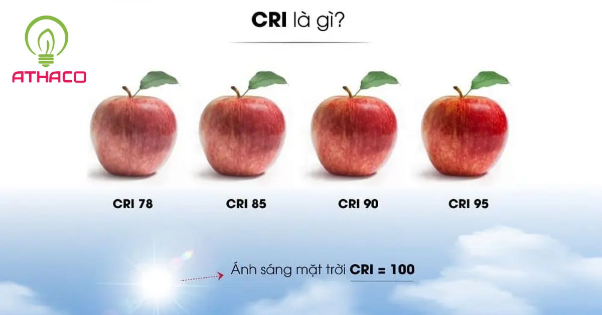 Chỉ số hoàn màu CRI là gì?