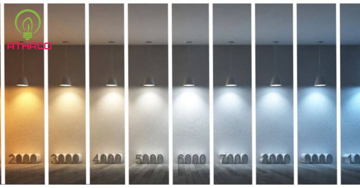 Độ K của đèn LED là gì?