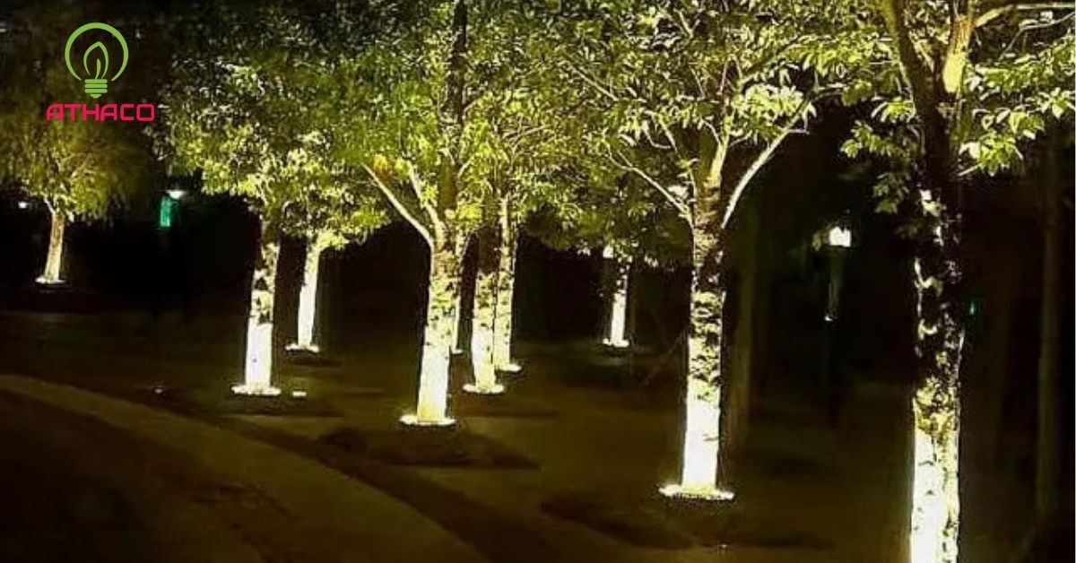 Đèn pha gốc cây là gì